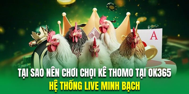 Đá gà Thomo có hệ thống live minh bạch trong từng kết quả