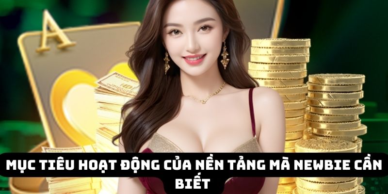 Mục tiêu hoạt động của nền tảng mà newbie cần biết